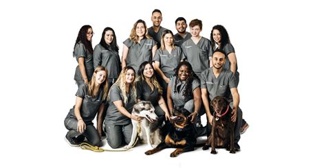 Bushwick veterinary center - Licensed Veterinary Technician. Bushwick Veterinary Center. New York, NY. $18 Hourly. Paid Time Off , Retirement. Full-Time. Job Description. About us: Bushwick Veterinary Center is dedicated to creating a culture that prioritizes our team members’ mental health and provides a happy environment full of growth and development. 